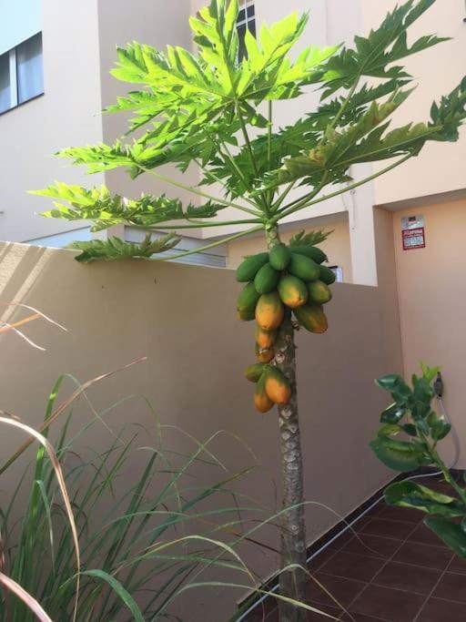 Independiente Estudio En Acogedora Casita De Mai 아데제 외부 사진