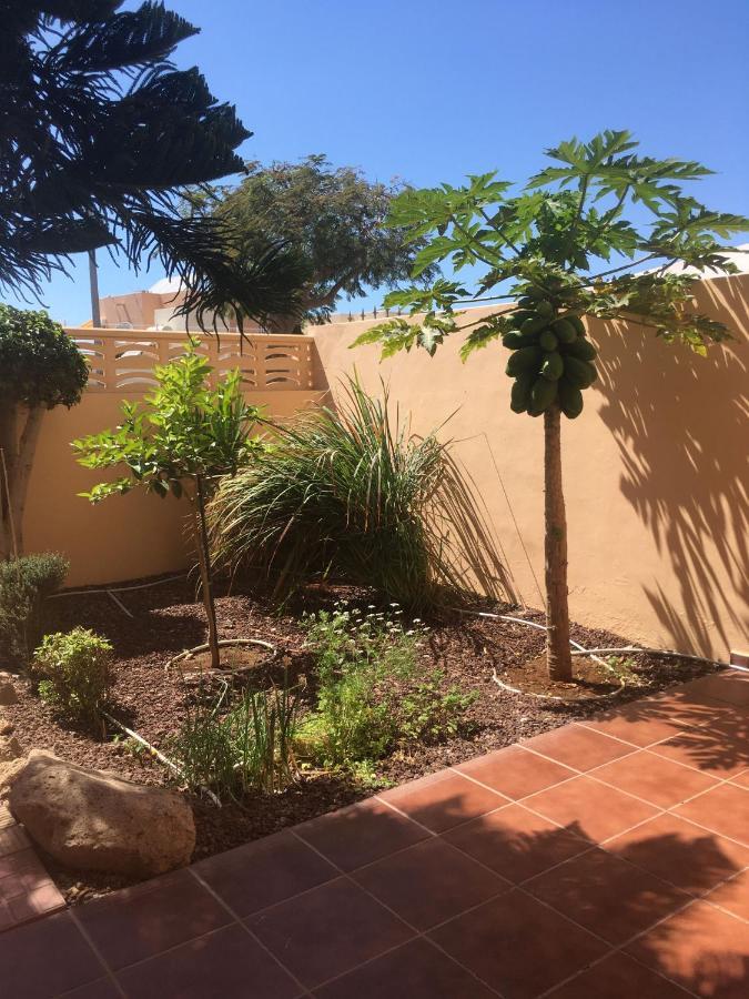 Independiente Estudio En Acogedora Casita De Mai 아데제 외부 사진